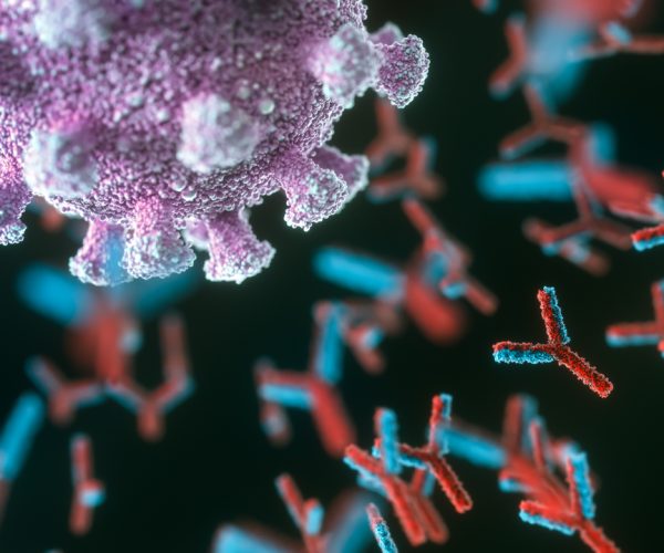 AI generated antibody